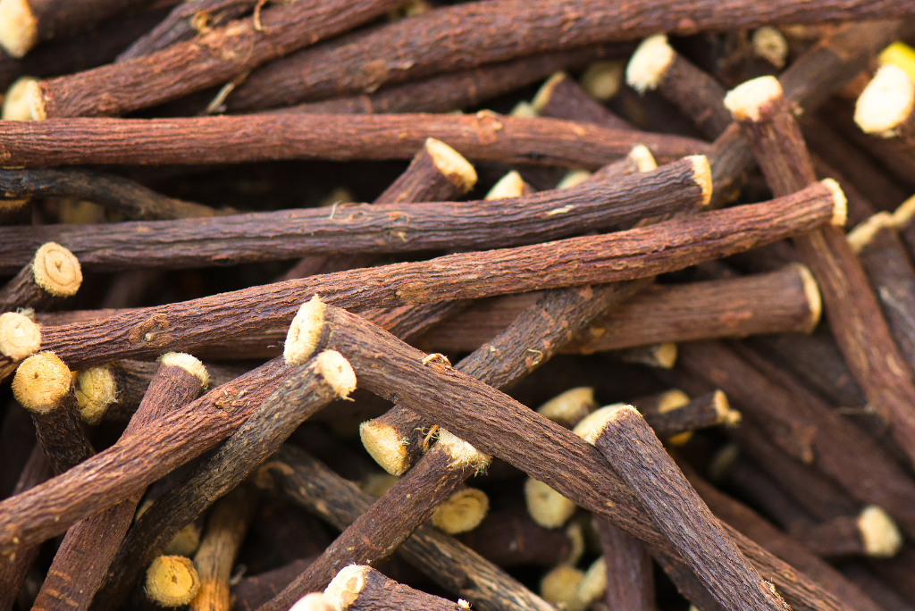 Close-up of licorice root with small yellowish seeds.